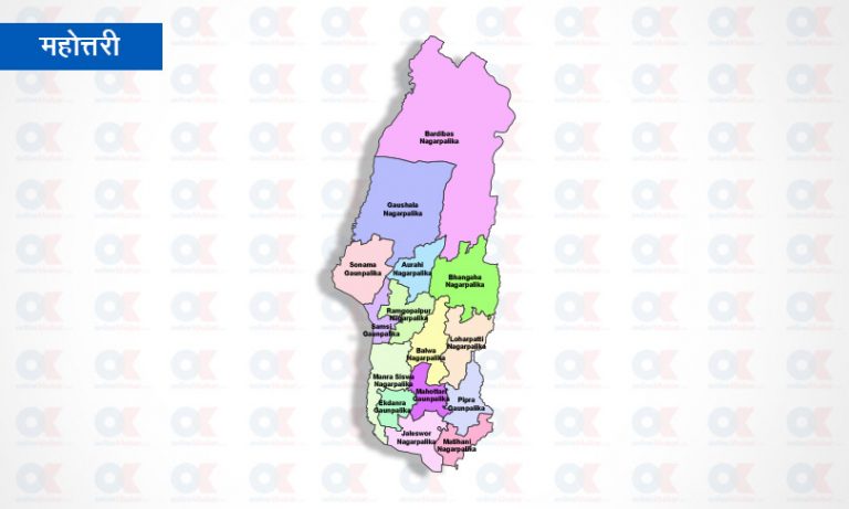 महोत्तरीमा राजपा बन्यो पहिलो दल, एमाले पाँचाै