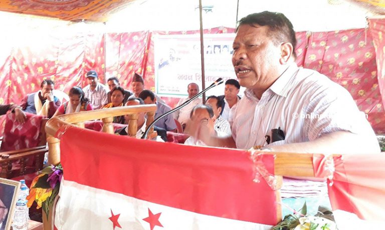 नेपाली कांग्रेस संस्थागत भएनः प्रकाशमान सिंह