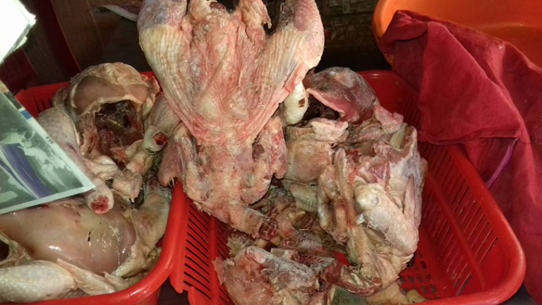 जुम्लामा कुहिएको मासु जफत गरी नष्ट