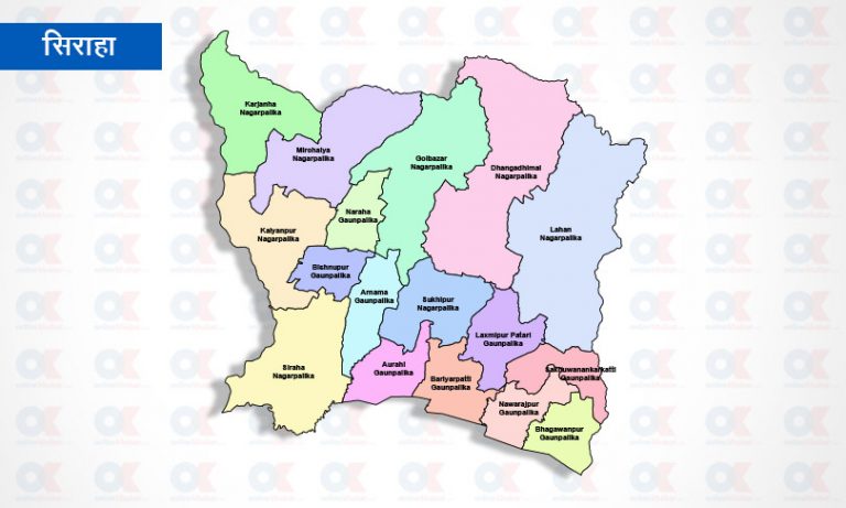 सिरहामा दुई केन्द्राध्यक्ष र एक निरीक्षक निष्कासित