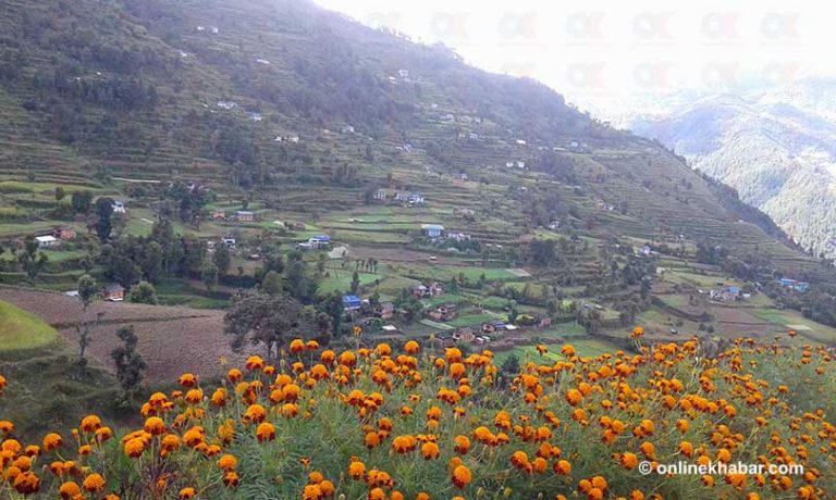 नो भोट आन्दोलन गरेको तिङ्ला गाउँ सोलु दूधकुण्डको वडा ११ कायम