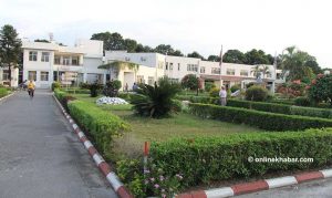 हरेक वर्ष बढ्दैछन् क्यान्सरका नयाँ बिरामी, कुन धेरै ?