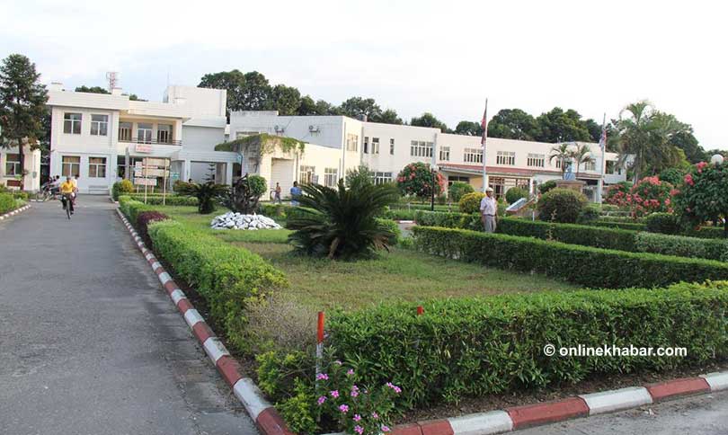 हरेक वर्ष बढ्दैछन् क्यान्सरका नयाँ बिरामी, कुन धेरै ?