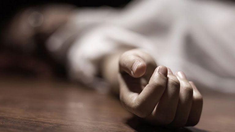 मिनीट्रकको ठक्करले पैदलयात्रुको मृत्यु