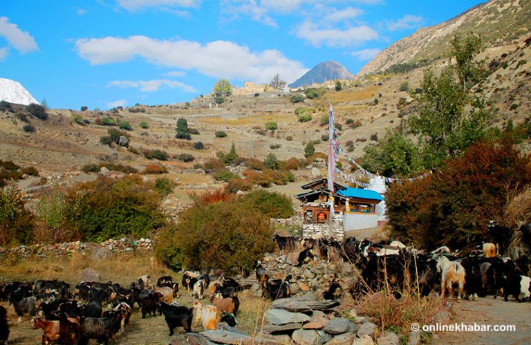 अन्नपूर्ण संरक्षण क्षेत्रमाथि गण्डकी सरकारले फेरि माग्यो अधिकार