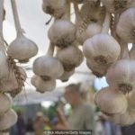 सुकेको लसुनको भाउ बढ्यो, किलोको कति ?