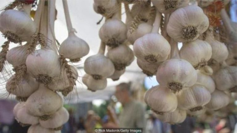 बढ्यो नेपाली लसुनको मूल्य, किलोको कति ?  