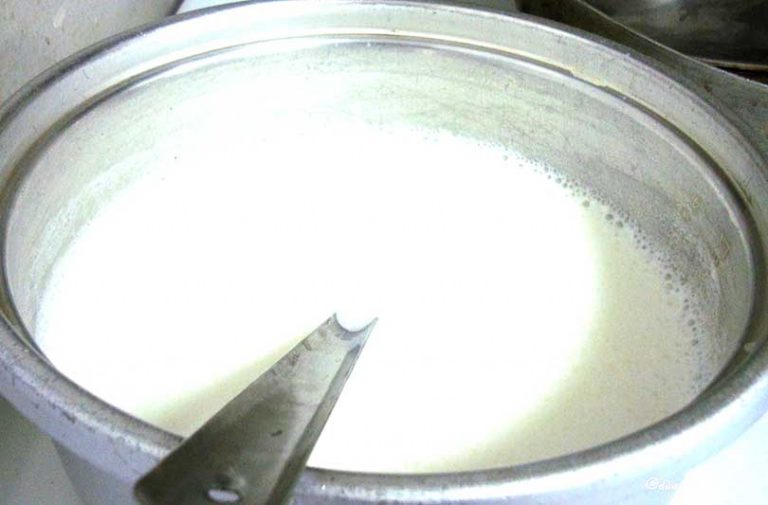 जाडोमा नियमित पिउनुपर्छ यस्तो मिश्रण, अनेक रोगबाट मिल्छ छुटकारा