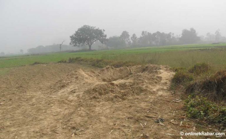 भारतले सीमा मिचेको भन्दै परेको रिटमा सर्वोच्चले जवाफ माग्यो