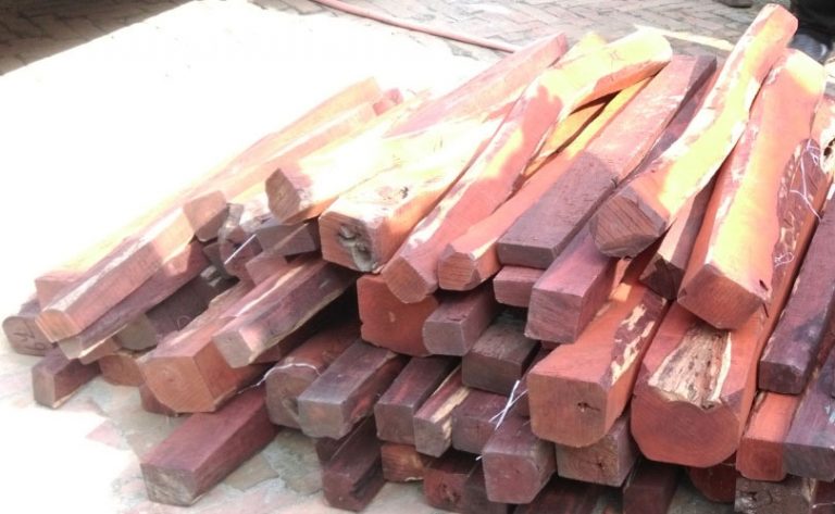 रक्तचन्दनको अवैध ओसारपसारमा संलग्न ४ जना पक्राउ