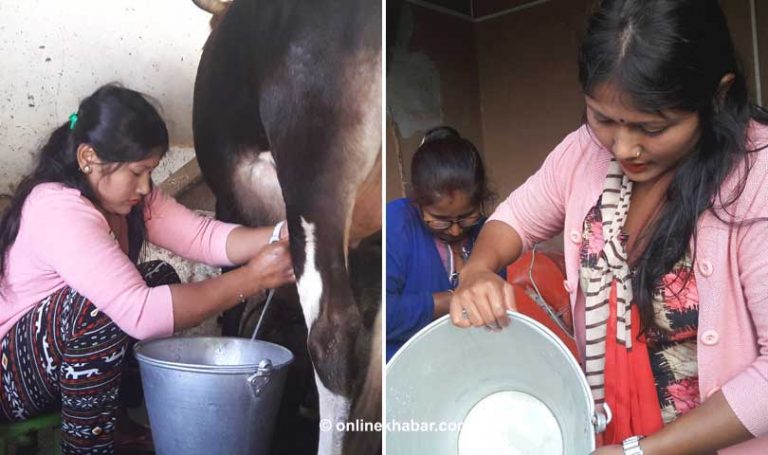 पशुपालक महिला किसानको दुखः न बजार, न प्रोत्साहन