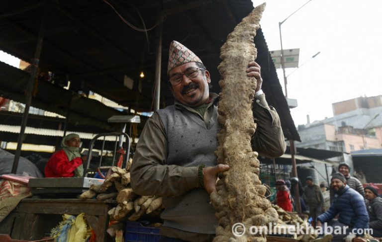 माघे संक्रान्तिमा कुन तरुल खाने ? यस्तो छ मूल्य
