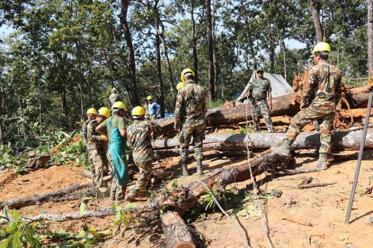 विकास आयोजनामा वनको अल्झन हटाउन कस्तो बन्दैछ दीर्घकालीन रणनीति ?