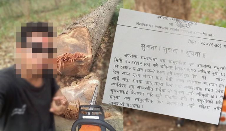 पूर्वी तराईको चारकोशे जंगल फाँड्न सुरु, प्रदेश सरकार मूकदर्शक