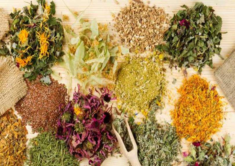 मृगौला डायलिसिसको विकल्प बन्न सक्छ केही आयुर्वेदिक फर्मूला