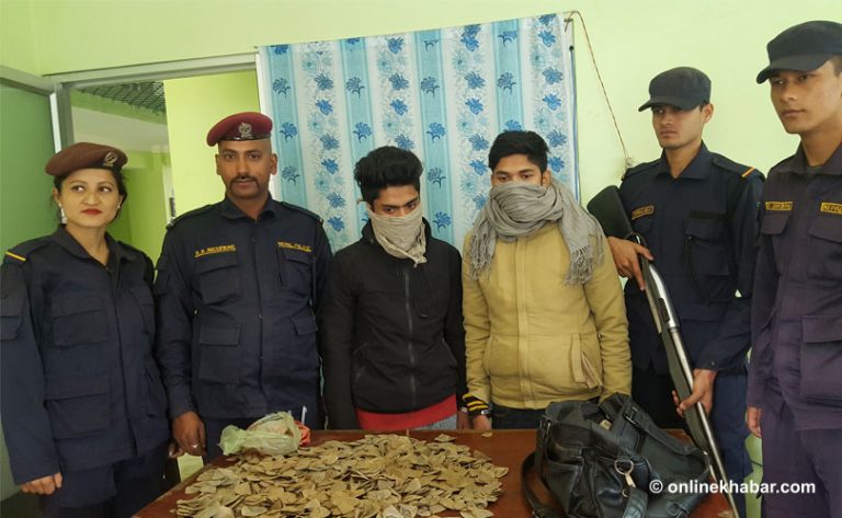 बानेश्वरमा सालकको खपटासहित दुई जना समातिए