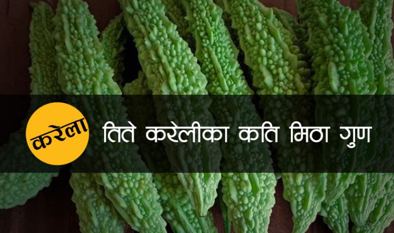 मधुमेह, उच्च रक्तचापको रोगीलाई गुनिलो करेला