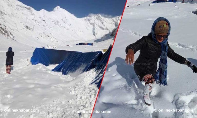 दार्चुलाका यार्सा संकलकको बिजोग, पाटनका क्याम्प छोडे