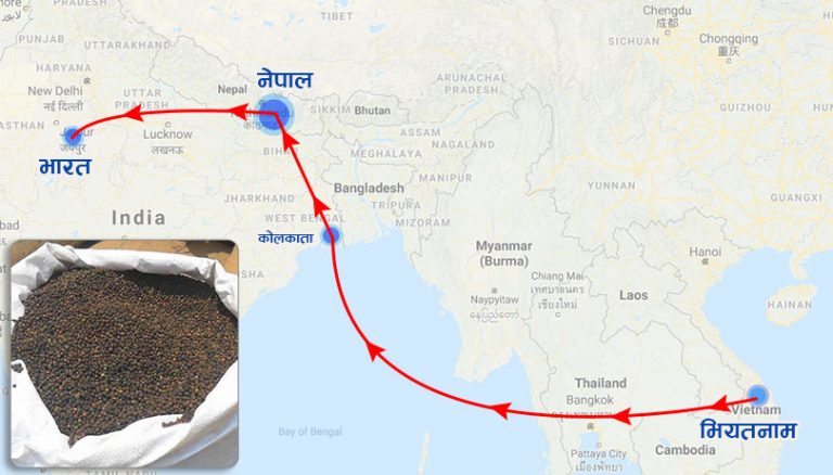सुन र सुपारीपछि मरिचको तस्करीः ‘ट्रान्जिट’ बन्दैछ नेपाल