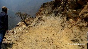 तिङ्कर जोड्ने महाकाली करिडोरका रूख काँटिदै