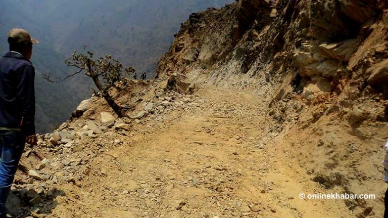 तिङ्कर जोड्ने महाकाली करिडोरका रूख काँटिदै