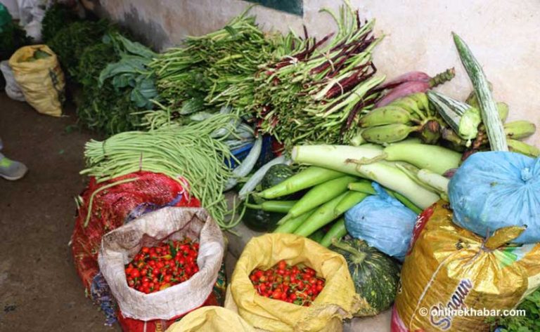 चारपाथी जौं-मकै फल्ने बारीमा १५ लाखको तरकारी !