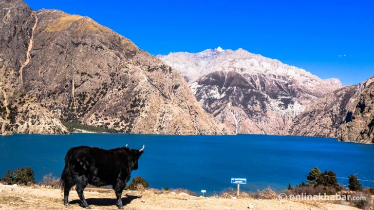 फोक्सुन्डो ताल: साँच्चै कमाल