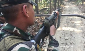 कोरिया र अमेरिकासहित १० देशका सेना अमलेखगञ्जमा