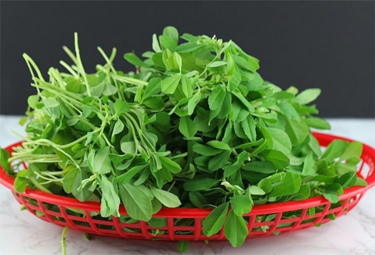 घट्यो सागको भाउ, कुनको कति ?