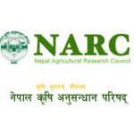 नार्कको सिफारिसका कृषि उपजमा कर्जा सहजीकरण गरिने