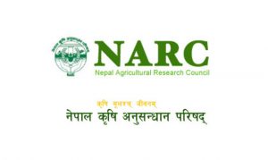 नार्कको सिफारिसका कृषि उपजमा कर्जा सहजीकरण गरिने