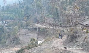 ‘काफलडाँडा’ अपरेशन: हेमन्तप्रकाशलाई समाउन खोज्दा चश्मा र औषधिमात्रै भेटियो
