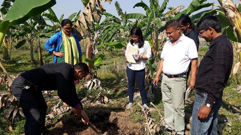 केरामा देखिएको रोग नियन्त्रण गर्न कैलालीका किसानको माग