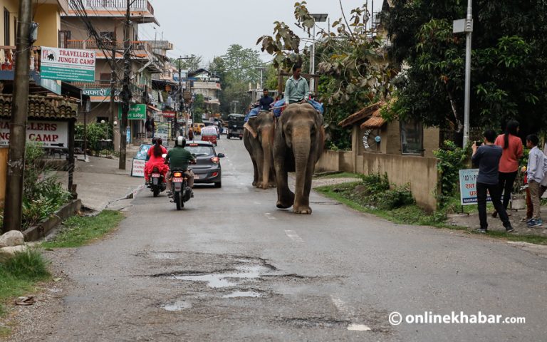 कोरोना महामारीका कारण पुनः सुनसान बन्यो सौराहा