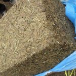 पर्साबाट २१३ किलो गाँजा बरामद   