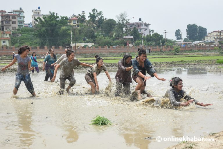 रोपाइँ महोत्सवमा हिलो छ्याप्न नपाइने, मास्क र स्यानिटाइजर अनिवार्य