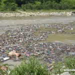 त्रिशूली किनारमा महिला मृत फेला