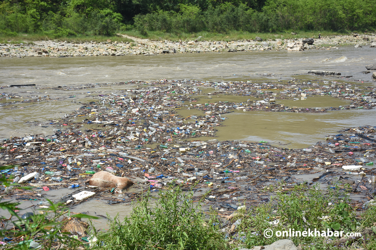 त्रिशूली किनारमा महिला मृत फेला