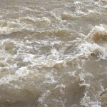 कैलालीमा च्याउ टिप्न गएका २ महिलालाई बाढीले बगायो, एक जनाको शव फेला