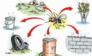 आँबुखैरेनी अस्पतालमा डेंगु संक्रमितको निःशुल्क उपचार