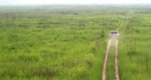 जंगली हात्तीको डरले जाग्राम बस्छन् कोशी टप्पु मध्यवर्तीका स्थानीय