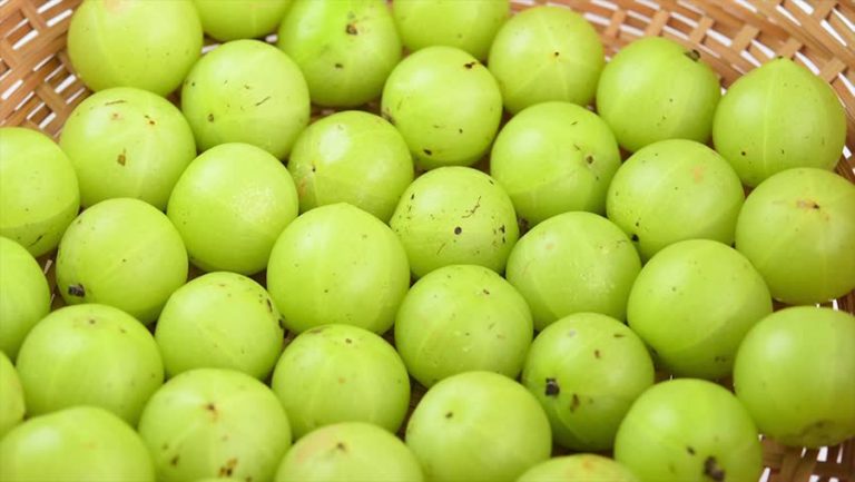 अमलाको भाउ बढ्यो