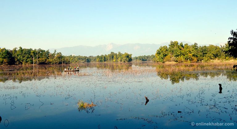 मिचाहा झारले ढाकिंदै विश्व रामसार सूचीमा रहेको घोडाघोडी ताल   