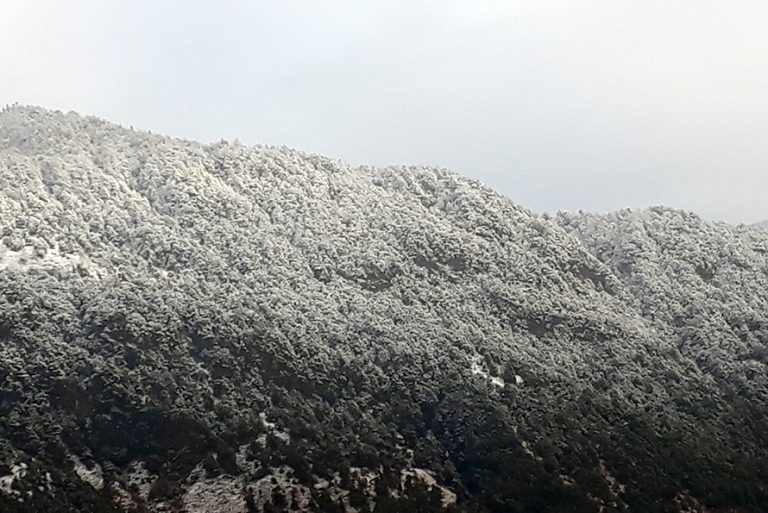 उच्च पहाडी र हिमाली क्षेत्रमा हिमपात हुने