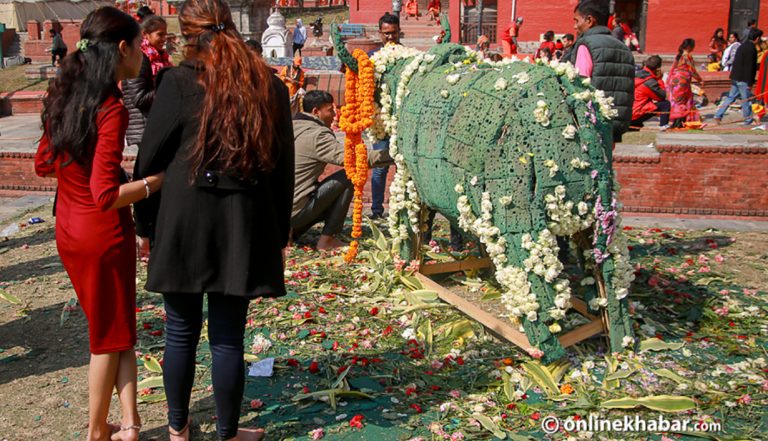चोरी भए पशुपतिका फूल