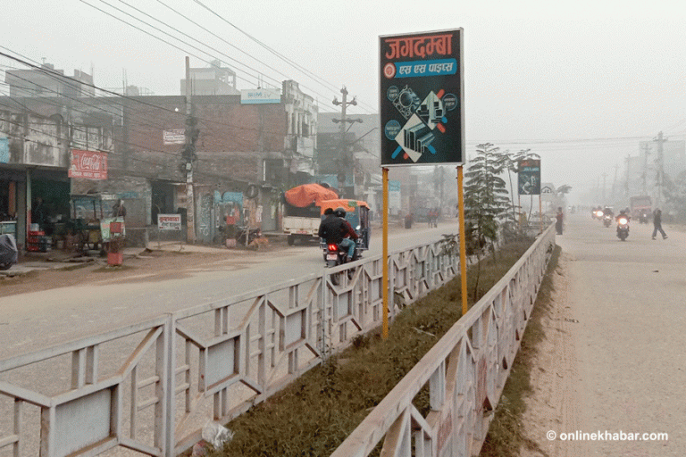 वीरगञ्ज महानगरका डिभाइडरमा बिरुवाभन्दा पहिले विज्ञापनका बोर्ड