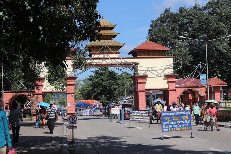 काँकडभिट्टाबाट एक वर्षमा तीन अर्बको प्लाइउड र भेनियर निर्यात