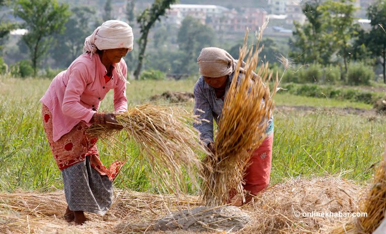 कृषिमा बैंकको लगानी : १० प्रतिशतबाट बढाउने समय भएन ?