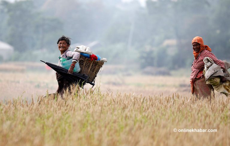 कृषिबाट १० वर्षमा १३.५ प्रतिशत जनसंख्या पलायन