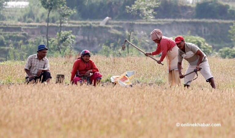 कृषि मन्त्रालयको बजेट ७ अर्बले बढ्यो